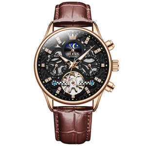 OLEVS Luxury Men's Mechanical Watch Model 6658