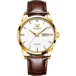 Load image into Gallery viewer, OLEVS Men&#39;s Waterproof  Mechanical Watch Model 6629jxm
